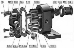 齒輪泵內(nèi)部